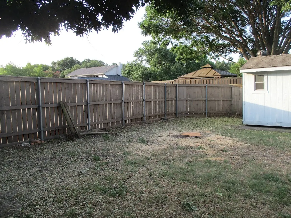 Cleared yard after professional tree removal in Hollansburg